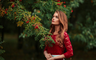 Woman red dress berry tree 2 - red free wallpaper for desktop