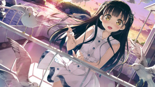 Girl white dress balcony birds - a balcony free wallpaper