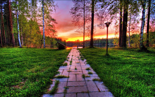 Sunset path grassy trees fence - a grassy area free wallpaper
