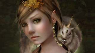 Woman cat elf goldflower fantasy - her shoulder and a cat free wallpaper