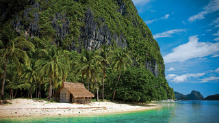Tropical hut palm trees beach - a tropical island free wallpaper