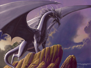 White dragon black tail flying - dragon art free wallpaper
