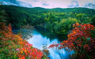 River forest lake autumn nature - green tree free wallpaper
