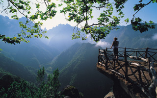 Man bridge valley mountains tree 2 - flavia bloi free wallpaper