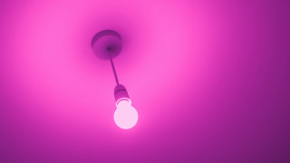 Pink lightbulb darkroom synchromism purple - free light wallpaper