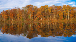 Autumn lake reflections mountains forest - a blue sky free wallpaper
