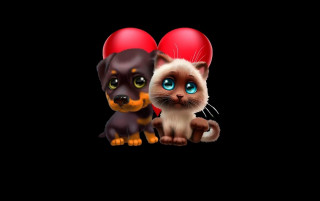 Cat dog heart balloon black 2 - a cat and a dog free wallpaper