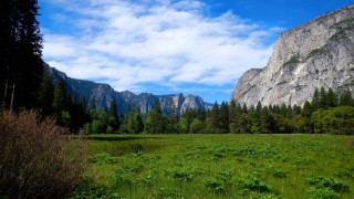 Grassy field mountains trees blue 3 - a grassy field free wallpaper