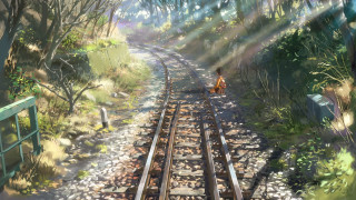 Person dog train track walking - a painting of a person free wallpaper