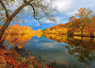 Lake fall foliage impressionist scenery - fall foliage free wallpaper