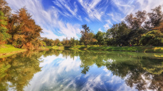 Lake trees grass blue sky 2 - afewerk tekle free wallpaper