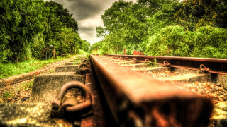 Rusted railway trees cloudy sky - a bunch of trees free wallpaper