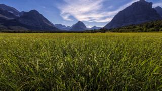 Field mountains clouds blue sky - alson s. clark free wallpaper