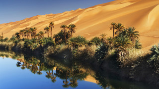 Water palm trees sand dunes - a body of water free wallpaper for desktop