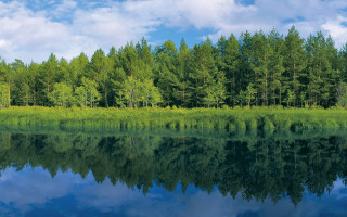 Lake trees grass clouds ecological - a few cloud free wallpaper
