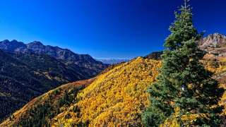 Mountain trees background sky autumn - tree and mountains free wallpaper
