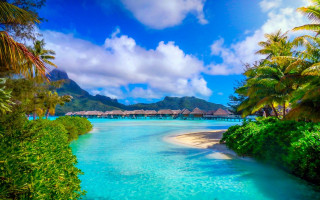 Tropical beach lagoon palm trees - tropical free wallpaper