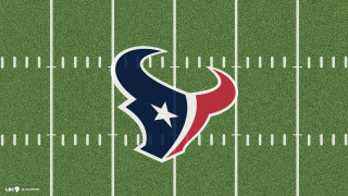 Football field houston texans logo - fanny mcian free wallpaper