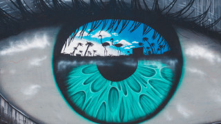 Blue eye palm trees graffiti - david boyd free wallpaper