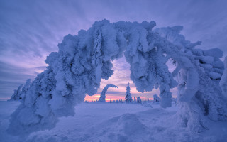 Snow arch winter pink sunset - arch free wallpaper