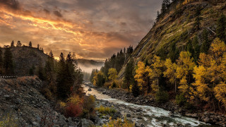 River forest bridge autumn sunset - river free wallpaper