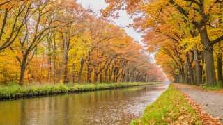 River forest fall leaves impressionist - adriaen isenbrant free wallpaper