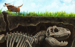 Dog skeleton monster illustration outdoors - adam rex free wallpaper