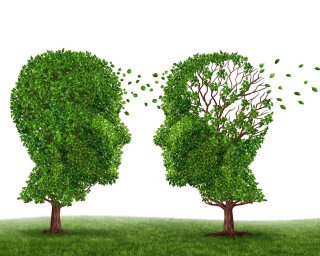 Tree human head leaves sides - neoplasticism free wallpaper