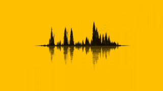 Yellow sky moon forest silhouette - forest free wallpaper