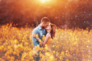 Sunset couple kissing field flowers - the cloud free wallpaper