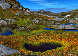 Autumn pond flowers mountains sky - rock free wallpaper