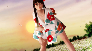 Woman dress glasses flower field - a field of flowers free wallpaper