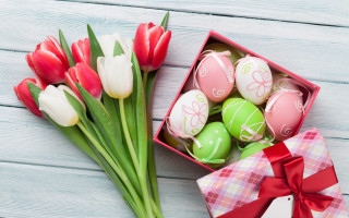 Eggs tulips stilllife folkart redflower - still free wallpaper