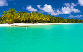 Tropical island palm beach clouds - a tropical island free wallpaper