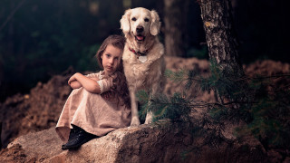 Little girl dog woods forest - a little girl free wallpaper