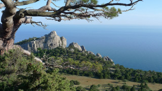 Tree hill ocean mountains blue - zenith view free wallpaper