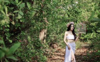 Woman white dress bird cage - a white dress holding free wallpaper
