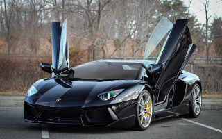 Black sports car open forest - its door free wallpaper
