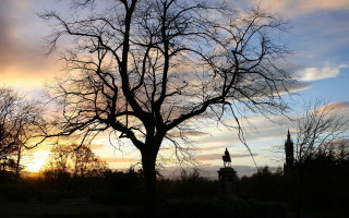Bare tree sunset clock tower - alexander stirling calder free wallpaper
