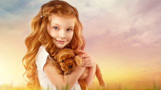 Girl puppy field sunset digital - her free wallpaper