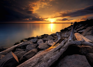 Sunset water tree branch clouds - the ground in front free wallpaper