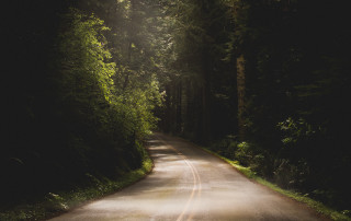 Forest road light shine nature - the side of it free wallpaper