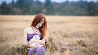 Woman cat field wheat trees - portrait photography free wallpaper
