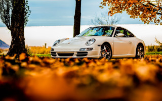 White car autumn leaves lake - a leaf free wallpaper