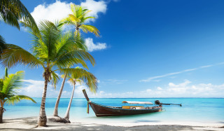 Tropical beach boat palm trees 3 - a tropical beach free wallpaper
