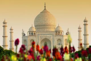 White building dome flowers sky - a dome free wallpaper