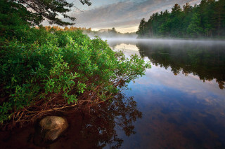 Lake fog trees rock autumn - a rock in the foreground free wallpaper