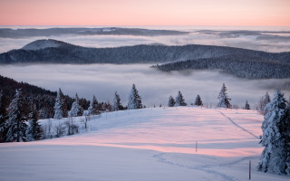 Snowy mountain pink sky forest - a pink sky in the background free wallpaper