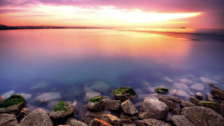 Sunset water rocks algae beach - the rock free wallpaper