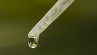 Water drop plastic tube green - plastic free wallpaper